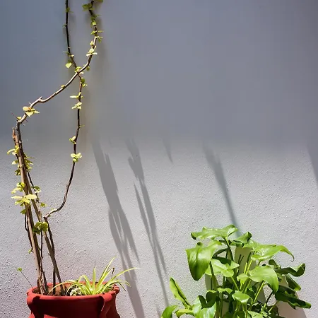 The Backyard- στην αγριά, βόλου Casa vacanze Agria