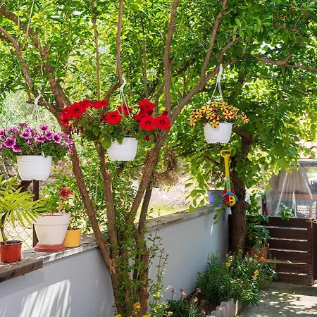 The Backyard- στην αγριά, βόλου *