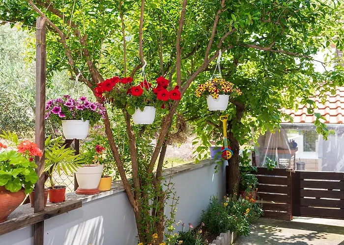 The Backyard- στην αγριά, βόλου *