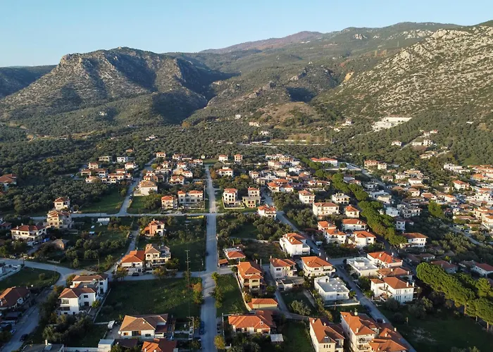 The Backyard- στην αγριά, βόλου