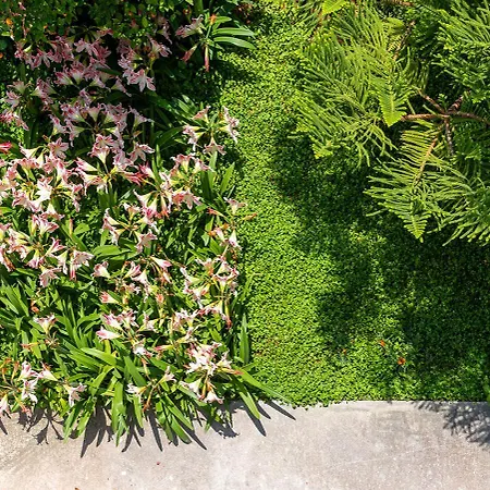 Hébergement de vacances The Backyard- στην αγριά, βόλου *