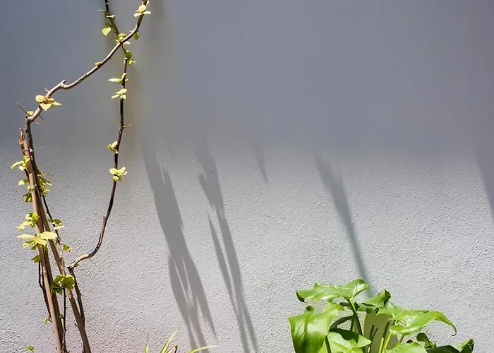 The Backyard- στην αγριά, βόλου Semesterbostad Agria