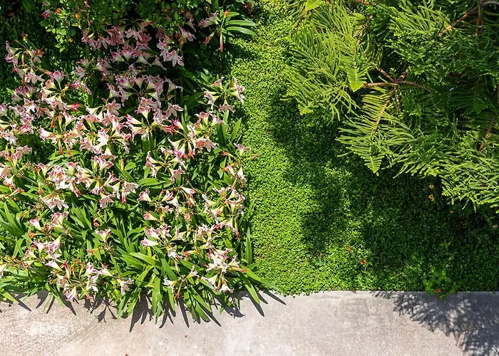 別荘 The Backyard- στην αγριά, βόλου *