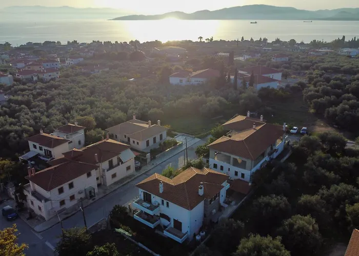 The Backyard- στην αγριά, βόλου *